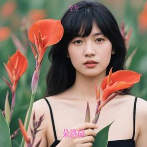 朵洛荷 (兮兮 Remix)