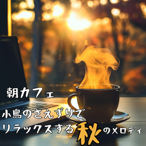 夜空の下で聴きたい最高におしゃれな森カフェミュージック