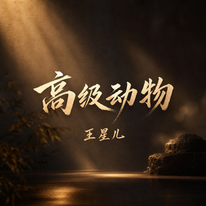 高级动物