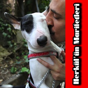 Serseri (Onurr Demo)