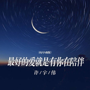 最好的爱就是有你在陪伴 (DJ小桐版)