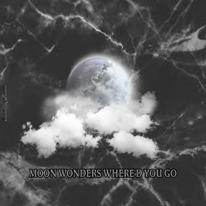 Moon Wonders Where'd You Go