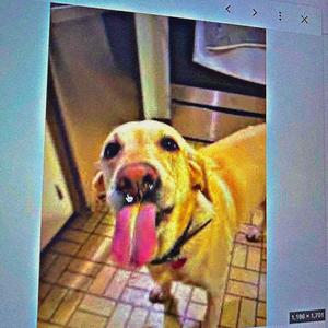 FREESTYLE 1 (feat. Clowd Blanco)