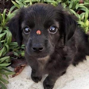 Trust (feat. Boosie Badazz)