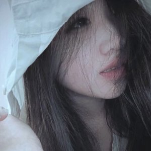 小狗朋友