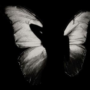 High Fashion x Track 10 (Sped Up)