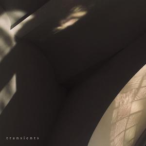 Deep-Toned Acoustic Guitar, Ambient Synth And Harp