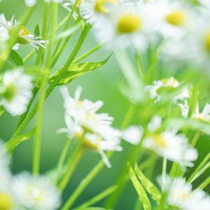 每个灵魂都在编写自己的意义