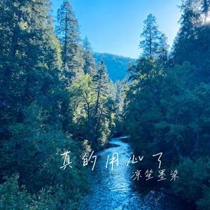 真的用心了 (Cover 轻烟大叔)