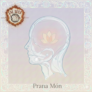 Metamorfosis Spirit (Ralentizado y Reverberado)