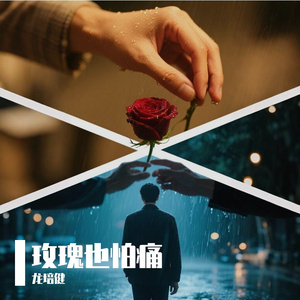 玫瑰也怕痛 伴奏