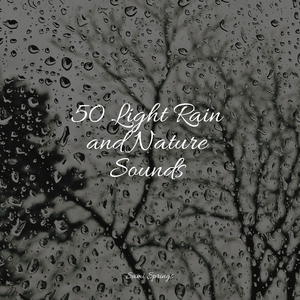 Camping Kettle on the Fire