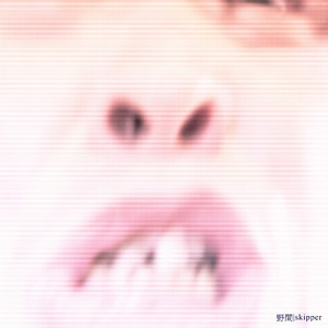 skipper