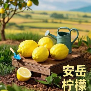 寻芳Remix（安岳城市宣传曲）