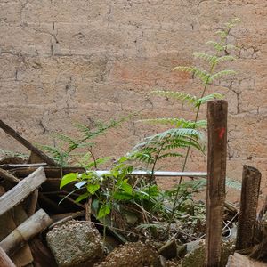 挚友(吉他版cover周兴哲)