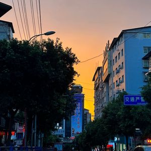 桑梓