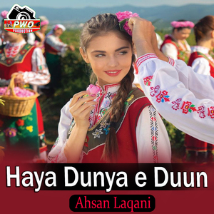 Haya Taqdero
