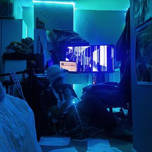 sunflower. (interlude)