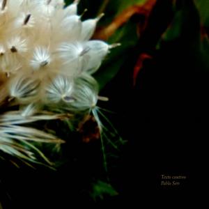 Canadá (Bonus track)