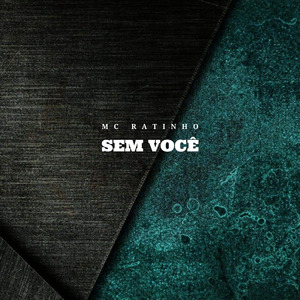 Sem Você