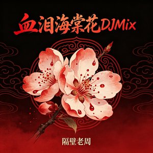血泪海棠花DJMix女版