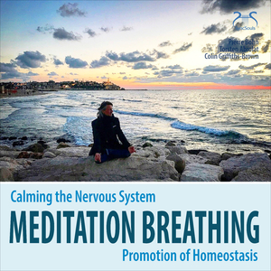 Relaxation Music for Breathing Exercises, Soothing Music for Homeostasis, Part 3