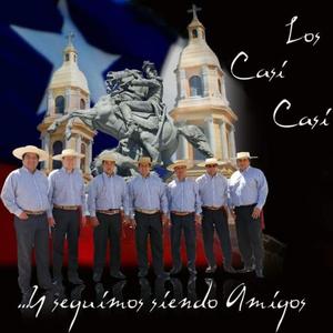 Un Lucero Cayo en Colchagua