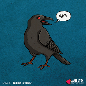 Talking Raven (Original Mix)