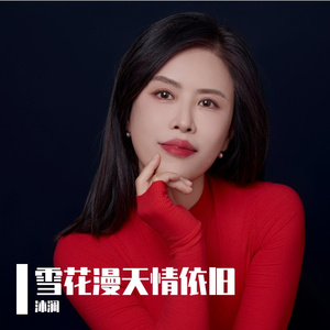 雪花漫天情依旧（DJ阿能版）