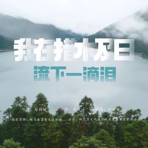 我在措木及日流下一滴泪