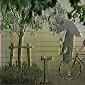 一緒に雨の庭を歩きます