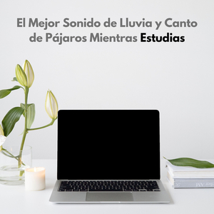 Sonido Con Pájaros Cantando Durante Una Sesión De Estudio