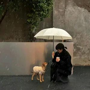 改不掉的性格注定会失去