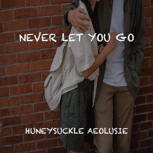 Never Let You Go