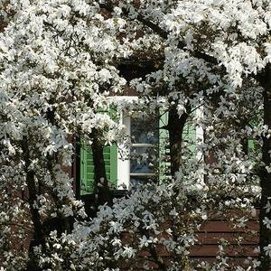 You Dont Care My Tears