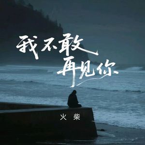我不敢再见你（伴奏）