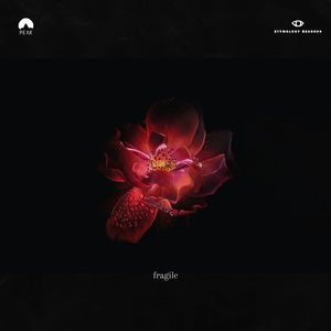 Fragile