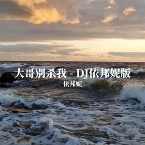 大哥别杀我（DJ加快版）