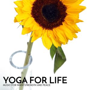 The Nature of the Outer Cosmic Environment