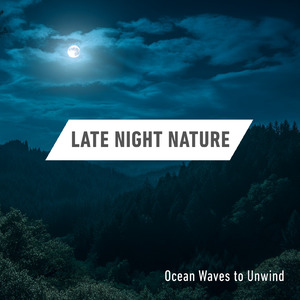 睡眠用BGM 森の調べとギターのやすらぎ