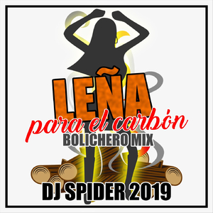 Leña para el Carbón (Bolichero Mix)