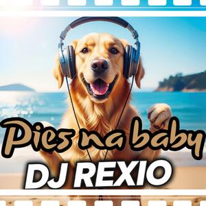 DJ Rexio Pies Na Baby