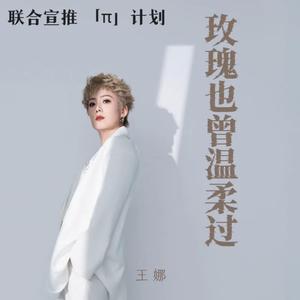 玫瑰也曾温柔过 (DJ慢摇版)