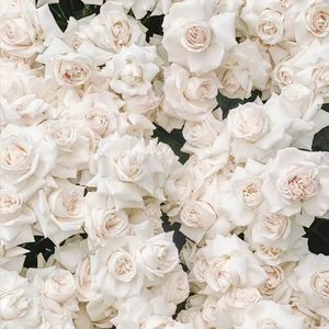 白玫瑰 （prod by Rising Beat）