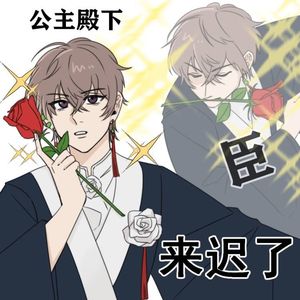 公主殿下