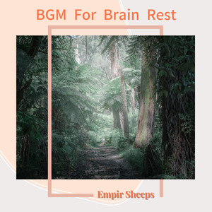 Embers of Gentle Stillness