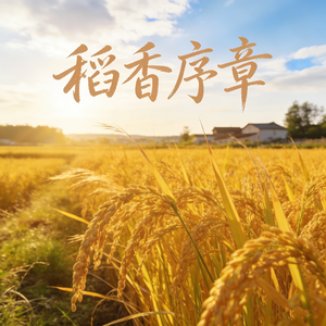 稻浪漫过旧时光