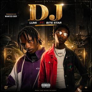 Lumi Vibe (feat. Bite Star)