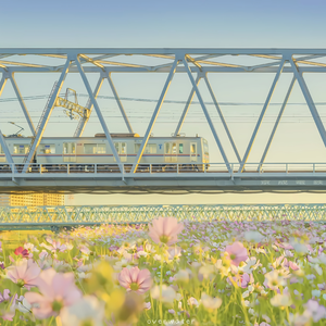 清明时节的雨前茶（古筝）