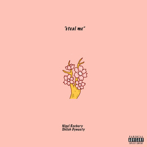 Steal Me